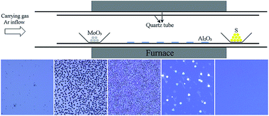 Graphical abstract: Large-area high quality MoS2 monolayers grown by sulfur vapor counter flow diffusion