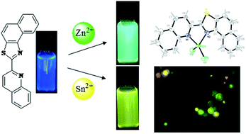 Graphical abstract: Naphthothiazole-based highly selective and sensitive fluorescent and colorimetric chemosensor for detection of pollutant metal ions
