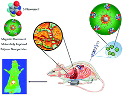Graphical abstract: In vitro/in vivo study of novel anti-cancer, biodegradable cross-linked tannic acid for fabrication of 5-fluorouracil-targeting drug delivery nano-device based on a molecular imprinted polymer