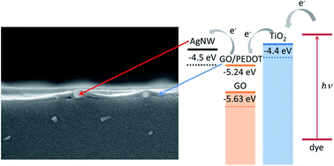 Graphical abstract: Graphene oxide/poly(3,4-ethylenedioxythiophene):polystyrenesulfonate layers on silver nanowire working electrodes enhance the power conversion efficiencies of dye-sensitized solar cells in a low temperature process
