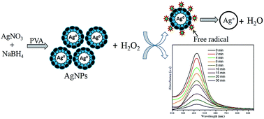 Graphical abstract: Role of capping agents in controlling silver nanoparticles size, antibacterial activity and potential application as optical hydrogen peroxide sensor