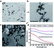 Graphical abstract: DNA templated synthesis of branched gold nanostructures with highly efficient near-infrared photothermal therapeutic effects