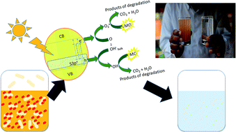 Graphical abstract: Rapid and morphology controlled synthesis of anionic S-doped TiO2 photocatalysts for the visible-light-driven photodegradation of organic pollutants