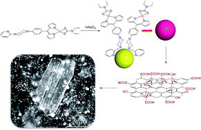 Graphical abstract: Dipyrrin complex assisted in situ synthesis of ultra-small gold nanoparticles decorated on a partially reduced graphene oxide nanocomposite for efficient catalytic reduction of Cr(vi) to Cr(iii)