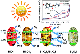 Graphical abstract: Flower-like Bi4O5I2/Bi5O7I nanocomposite: facile hydrothermal synthesis and efficient photocatalytic degradation of propylparaben under visible-light irradiation