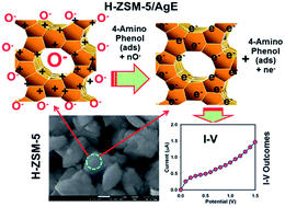 Graphical abstract: Fabrication of a selective 4-amino phenol sensor based on H-ZSM-5 zeolites deposited silver electrodes