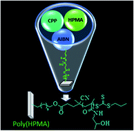 Graphical abstract: Synthesis of poly(N-(2-hydroxypropyl) methacrylamide) brushes by interface-mediated RAFT polymerization