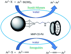 Graphical abstract: Highly water-dispersible magnetite nanoparticle supported-palladium–β-cyclodextrin as an efficient catalyst for Suzuki–Miyaura and Sonogashira coupling reactions