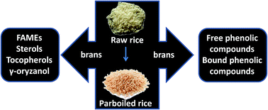 Graphical abstract: Determination of lipophilic and hydrophilic bioactive compounds in raw and parboiled rice bran