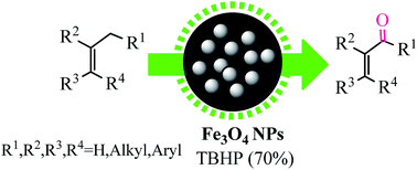 Graphical abstract: Fe3O4 magnetic nanoparticles (MNPs) as an efficient catalyst for selective oxidation of benzylic and allylic C–H bonds to carbonyl compounds with tert-butyl hydroperoxide