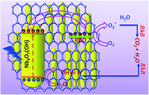 Graphical abstract: Well-wrapped reduced graphene oxide nanosheets on Nb3O7(OH) nanostructures as good electron collectors and transporters for efficient photocatalytic degradation of rhodamine B and phenol
