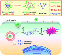 Graphical abstract: Esterase-responsive polymeric prodrug-based tumor targeting nanoparticles for improved anti-tumor performance against colon cancer