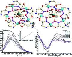 Graphical abstract: Synthesis, crystal structure, DNA-binding and magnetism of copper 15-metallacrown-5 complexes based on glycinehydroxamic acid ligand