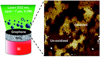 Graphical abstract: Photo-thermal oxidation of single layer graphene