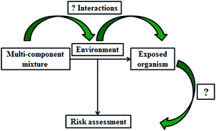 Graphical abstract: Risk assessment of environmental mixture effects