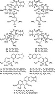 Graphical abstract: Racemic alkaloids from Macleaya cordata: structural elucidation, chiral resolution, and cytotoxic, antibacterial activities