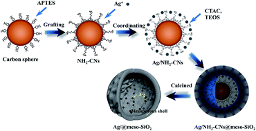 Graphical abstract: Aminosilane decorated carbon template-induced in situ encapsulation of multiple-Ag-cores inside mesoporous hollow silica