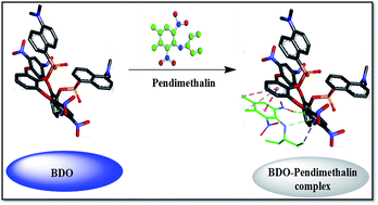 Graphical abstract: Turn-off fluorescence probe for the selective determination of pendimethalin using a mechanistic docking model of novel oxacalix[4]arene