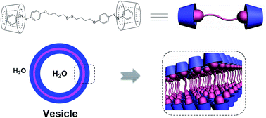 Graphical abstract: Photo and redox-responsive vesicles assembled from Bola-type superamphiphiles