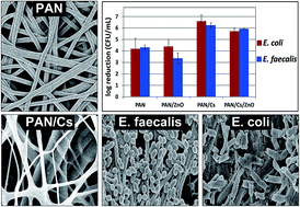 Graphical abstract: Electrospun functionalized polyacrylonitrile–chitosan Bi-layer membranes for water filtration applications