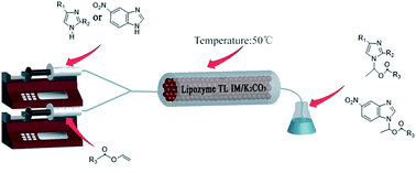 Graphical abstract: Markovnikov addition of imidazole derivatives with vinyl esters catalyzed by lipase TL IM from Thermomyces lanuginosus/K2CO3 in a continuous-flow microreactor