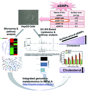 Graphical abstract: Amorphous silica nanoparticle-induced perturbation of cholesterol homeostasis as a function of surface area highlights safe-by-design implementation: an integrated multi-OMICS analysis