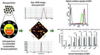 Graphical abstract: Macrophage-targeted chitosan anchored PLGA nanoparticles bearing doxorubicin and amphotericin B against visceral leishmaniasis