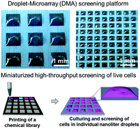 Graphical abstract: Droplet-microarray on superhydrophobic–superhydrophilic patterns for high-throughput live cell screenings