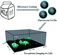 Graphical abstract: Fluorescent carbon dots from milk by microwave cooking