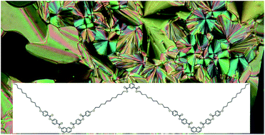Graphical abstract: W-shaped liquid crystalline dimers