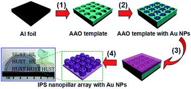 Graphical abstract: Polymer nanopillar array with Au nanoparticle inlays as a flexible and transparent SERS substrate