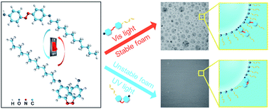 Graphical abstract: Synthesis of photo-responsive azobenzene molecules with different hydrophobic chain length for controlling foam stability