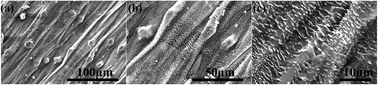 Graphical abstract: Biomimetic fabrication of robust self-assembly superhydrophobic surfaces with corrosion resistance properties on stainless steel substrate