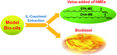 Graphical abstract: Separation of highly unsaturated fatty acid methyl esters from model bio-oils with ionic liquid-cosolvent as extractants