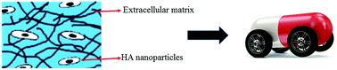 Graphical abstract: Biomimetic matrix mediated room temperature synthesis and characterization of nano-hydroxyapatite towards targeted drug delivery