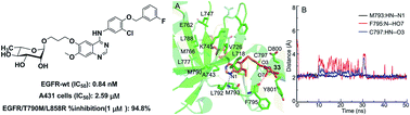 Graphical abstract: Synthesis and evaluation of novel non-covalent binding quinazoline glycoside derivatives targeting the L858R and T790M variants of EGFR