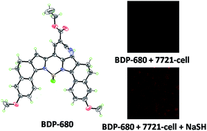 Graphical abstract: A near-infrared BODIPY-based fluorescent probe for the detection of hydrogen sulfide in fetal bovine serum and living cells