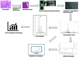 Graphical abstract: NanoLC MALDI MS/MS based quantitative metabolomics reveals the alteration of membrane biogenesis in oral cancer
