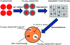 Graphical abstract: Synthesis of copper–silver bimetallic nanopowders for a biomedical approach; study of their antibacterial properties