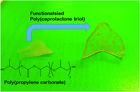 Graphical abstract: One-pot, mouldable, thermoplastic resins from poly(propylene carbonate) and poly(caprolactone triol)