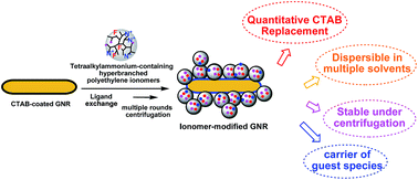 Graphical abstract: Efficient, robust surface functionalization and stabilization of gold nanorods with quaternary ammonium-containing ionomers as multidentate macromolecular ligands