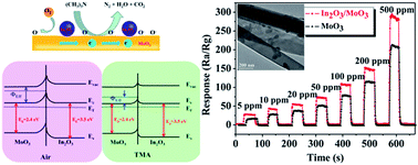 Graphical abstract: In2O3-functionalized MoO3 heterostructure nanobelts with improved gas-sensing performance