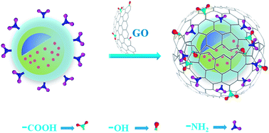 Graphical abstract: Graphene oxide coated Fe3O4@mSiO2 NPs for magnetic controlled bioimaging