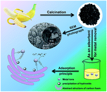 Graphical abstract: A green adsorbent derived from banana peel for highly effective removal of heavy metal ions from water