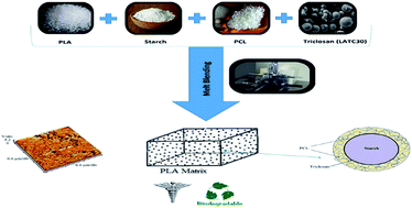 Graphical abstract: Preparation and characterization of interface-modified PLA/starch/PCL ternary blends using PLLA/triclosan antibacterial nanoparticles for medical applications