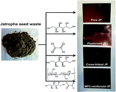Graphical abstract: Micro-fibrillated cellulose reinforced eco-friendly polymeric resin from non-edible ‘Jatropha curcas’ seed waste after biodiesel production