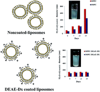 Graphical abstract: Physicochemical evaluation of DEAE-Dx coated liposomes for long alkyl chain lipids