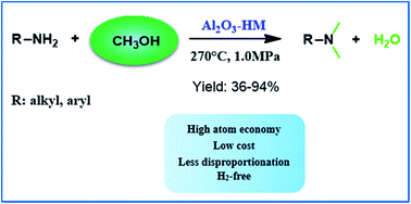 Graphical abstract: N-Methylation of amines with methanol in a hydrogen free system on a combined Al2O3–mordenite catalyst