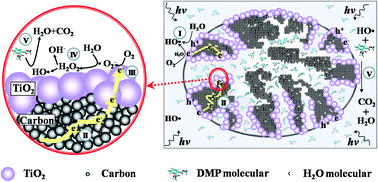 Graphical abstract: Enhancement of the photocatalytic activity of a TiO2/carbon aerogel based on a hydrophilic secondary pore structure