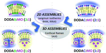 Graphical abstract: Role of counter-ion and helper lipid content in the design and properties of nanocarrier systems: a biophysical study in 2D and 3D lipid assemblies